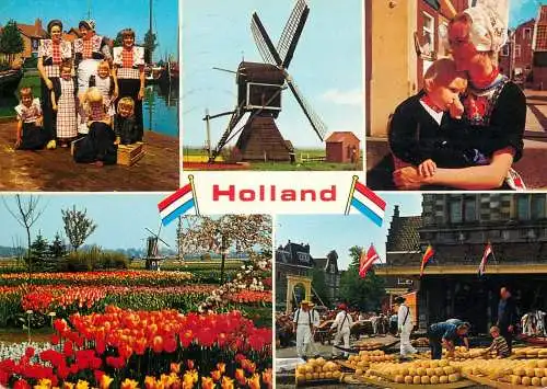 Netherlands Holland windmill tulip fields cheese market