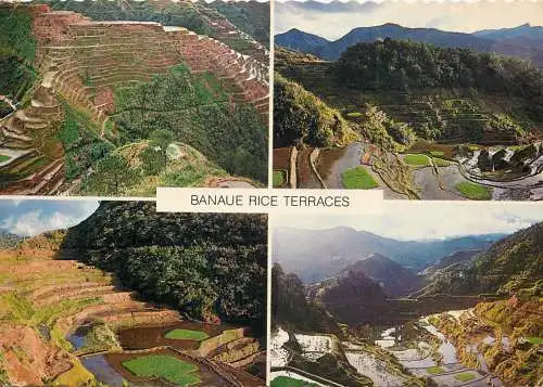 Banaue Ifugao, Filipine rice terraces