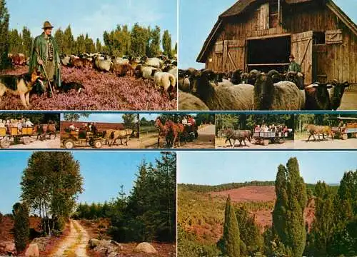 Germany Luneburger Heide