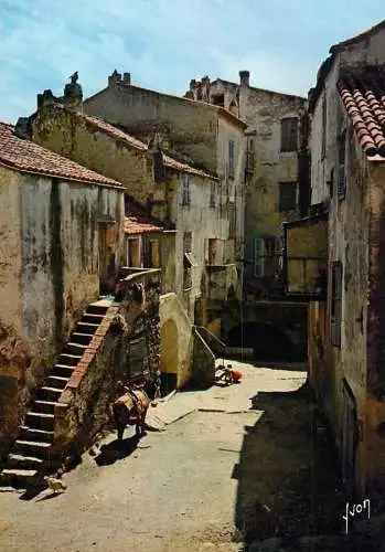 France Corse oasis de Beaute Calvi