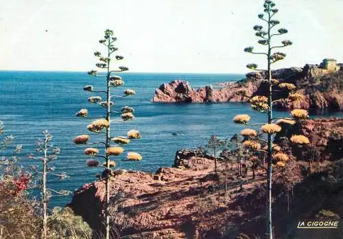 France Alpes Maritimes Cote d'Azur