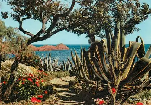 France Alpes Maritimes harmonie de couleurs