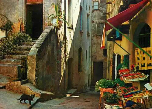 France Alpes Maritimes Cagnes cote d'Azur