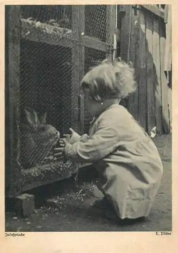 Children types little girl feeding rabbit