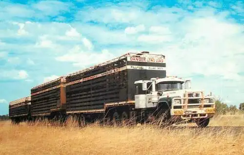Australia cattle trains road vehicle