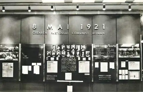 8 Mai 1921. Crearea Partidului Comunist Roman (Sala a V-a)