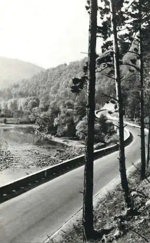 Romania Valea Bistritei la Tarcau