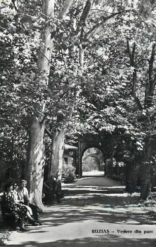 Romania Buzias vedere din parc