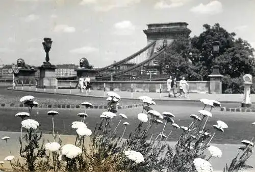 Hungary Budapest Chain Bridge