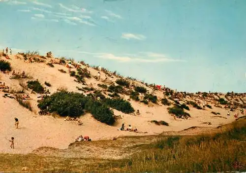 Belgium la dune aride Dorre duin
