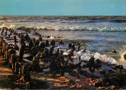 Belgium Zeespelen les jeux de la mer