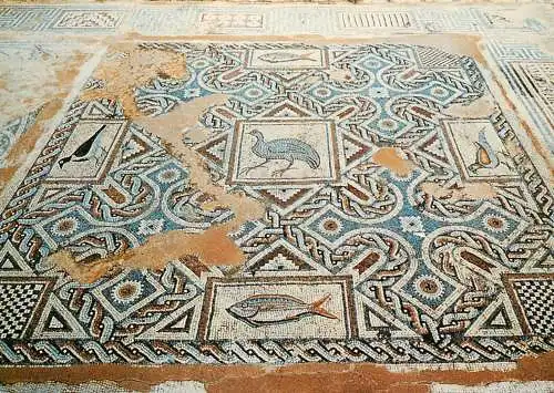 Cyprus Limassol Curium Mosaics