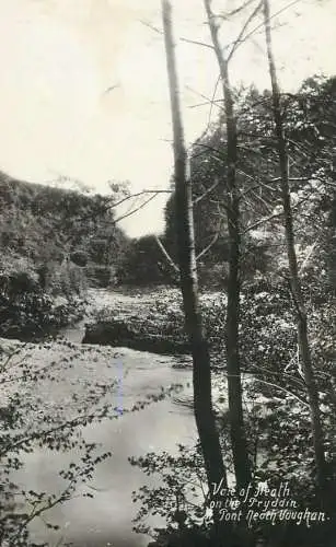 Wales vale of Heath on the Pryddin at Pont Neath Vaughan