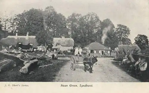 Swan Green Lyndhurst