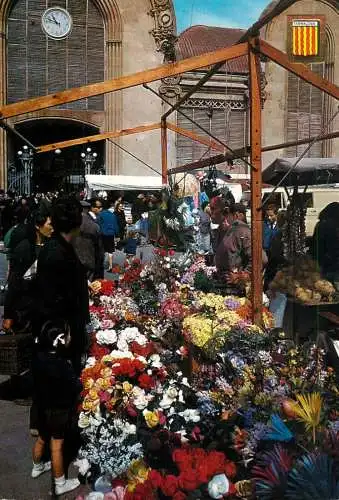 Spain > Cataluña > Tarragona flower market
