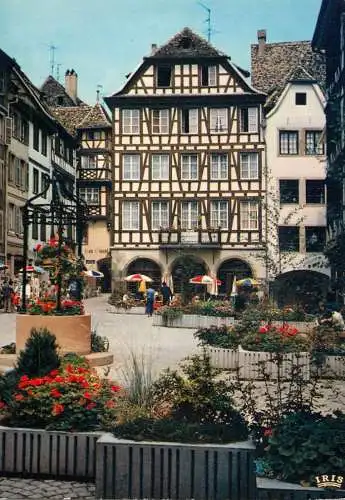 France Bas Rhin > Strasbourg la du Marche aux Cochons de lait