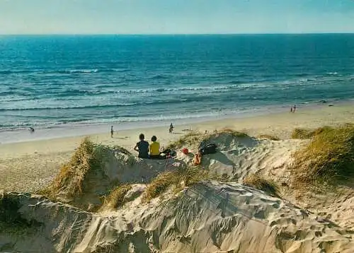 Belgium Zee strand bos Duin