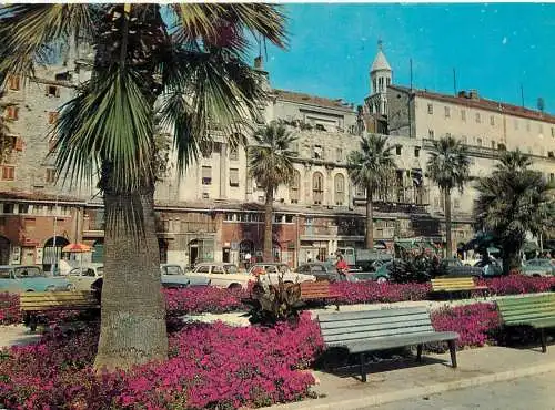 Croatia Split street view flower