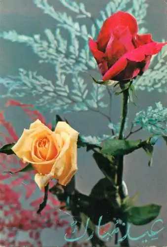 Algeria rose postcard 1975