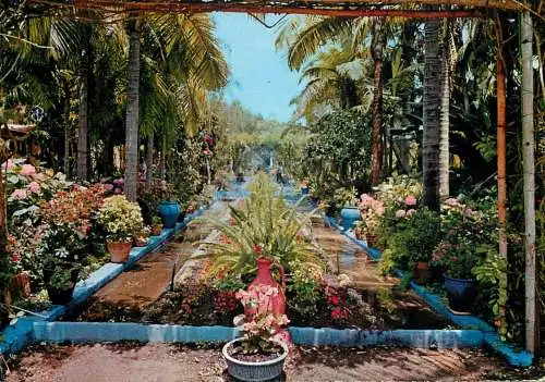 Morocco Rabat le jardin exotique 1975