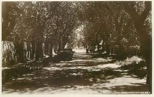 A shady lane Brighton on Sea real photo postcard