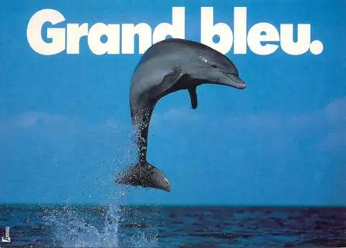 Grand Bleu Dolphin Marc Robin photo