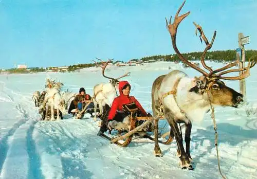 Suomi Finland ethnic types and scenes elk sledge