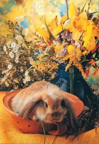 Easter Holiday greetings bunny and colourful floral decorative ornament