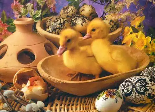 Easter Holiday duck, pencilled eggs and floral decorative ornaments