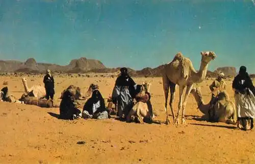 Algerie Tamanrasset Touareg's caravan 1974 camel bedouin