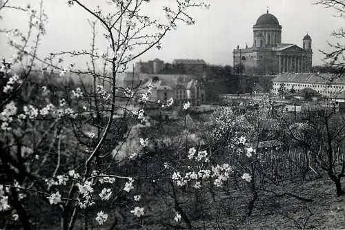 Hungary Esztergom cathedral