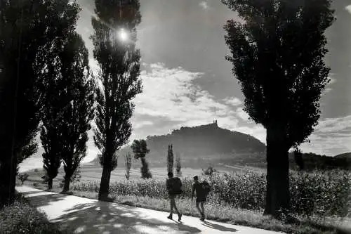 Hungary greetings from the landscape of the lake Balaton