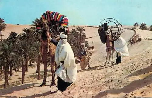Algeria bedouin scene ethnic camel and traditions 1973