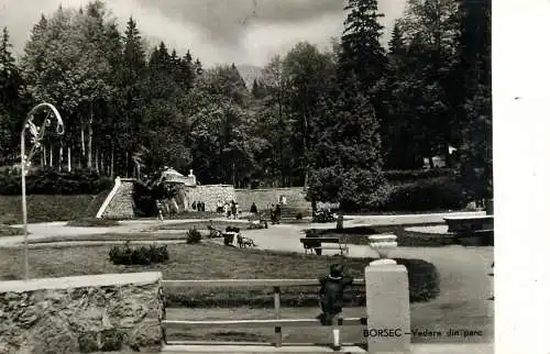 Romania Borsec imagine din parc