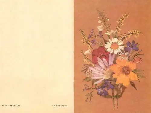 Flower postcard Romania dried flowers
