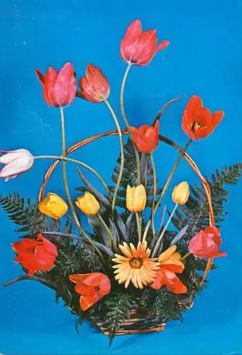 Flower postcard tulip basket Romania