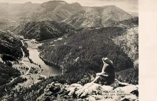 Romania Lacul Rosu vedere spre Gheorgheni