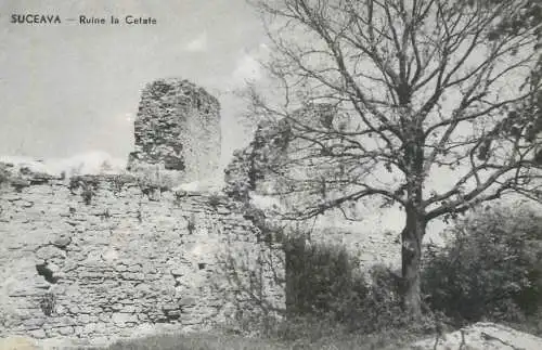 Romania Suceava ruinele cetatii sit istoric