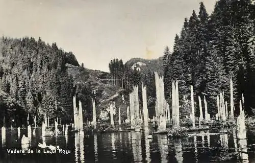 Romania Vedere de la Lacul Rosu