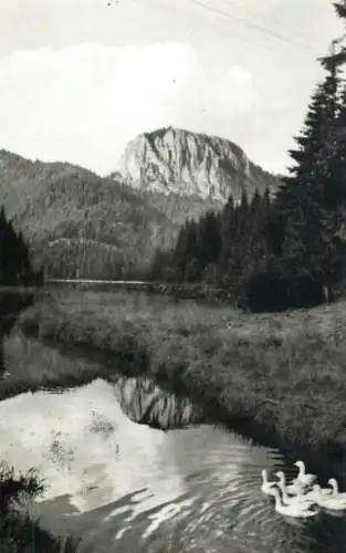 Romania Lacul Rosu vedere spre Suhard