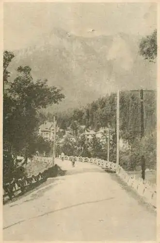 Romania Poiana Tapului vedere spre Muntii Bucegi