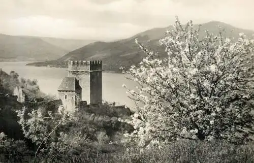 Hungary Visegrad Danube view