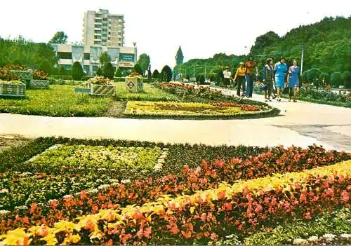 Romania Carei gradina