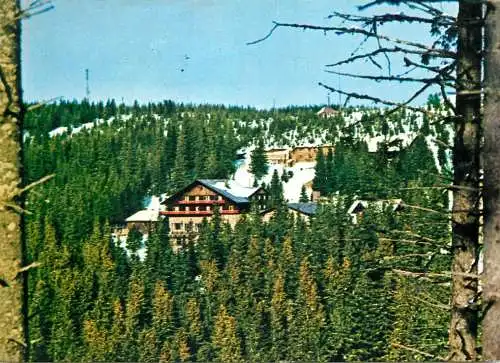 Romania Paltinis vedere din munte