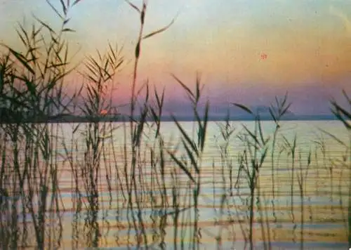 Romania Mamaia lac Siutghiol