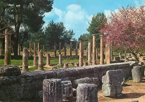 Greece Olympia the Palestra