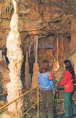 Romania Pestera ursilor Chiscau Bihor