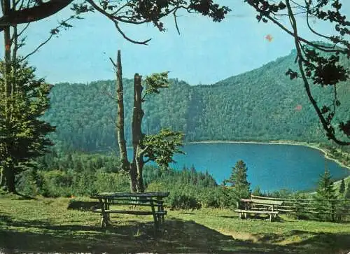 Romania Lacul Sfanta Ana