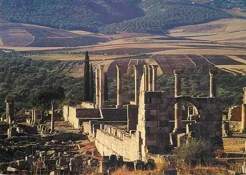 Africa Volubilis church and capitol