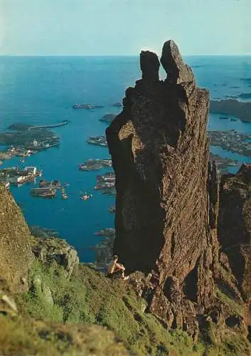 Norway the Svolvaer goat
